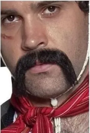 Authentic Western Mexican Handlebar Moustache, Black